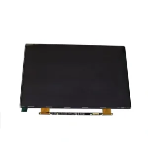 pergantian lcd only macbook