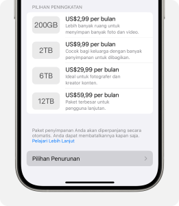 10 Tips Menyimpan Storage iPhone Agar Tidak Cepat Penuh — Solusi Praktis & Efektif dari iSeven Service