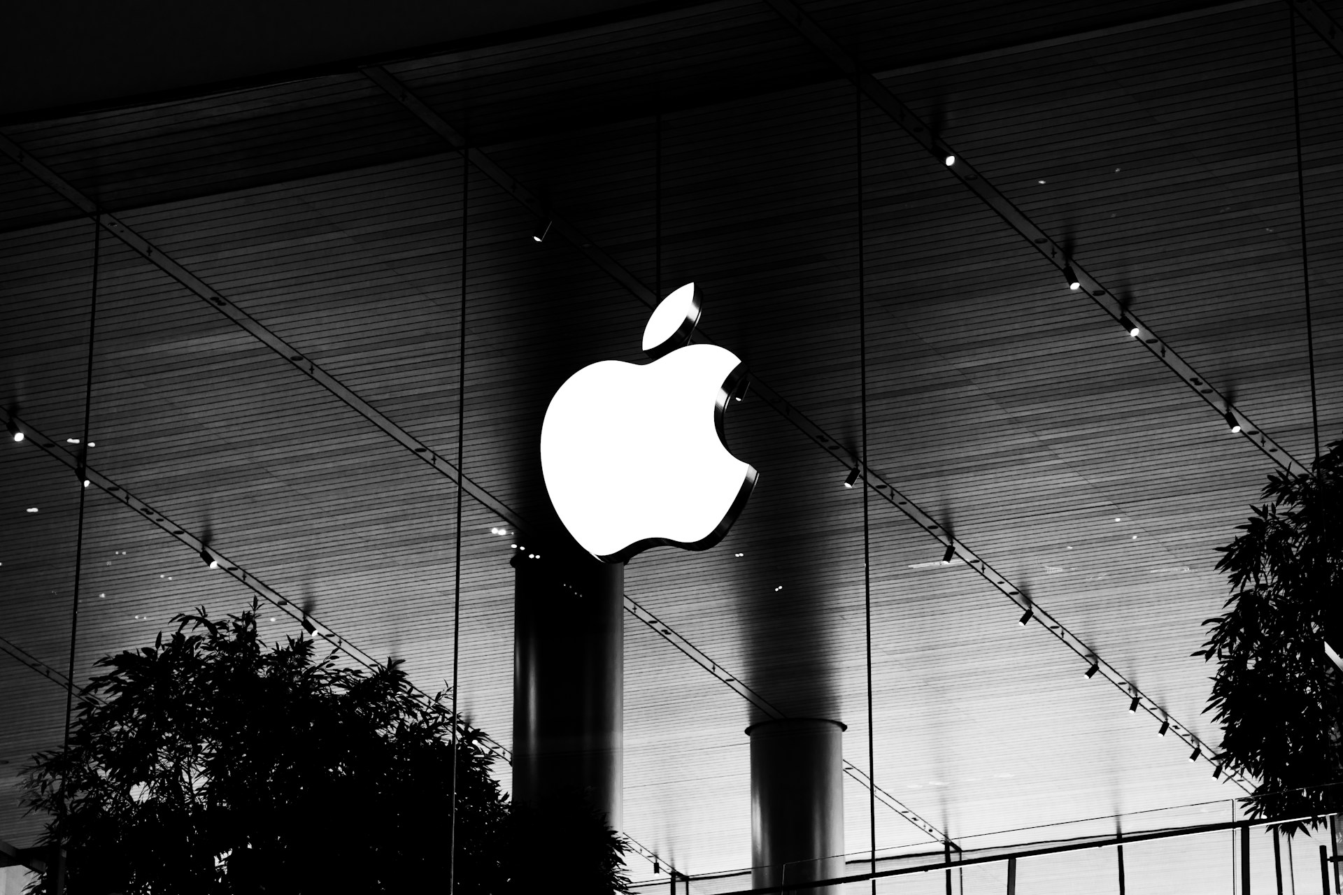 apple sparepart