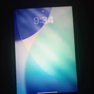 Hemat 70%! Bisakah Ganti Touchscreen iPad Saja Tanpa Ganti LCD?